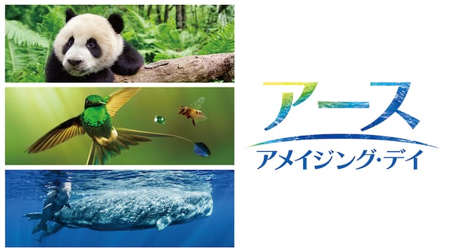 アース：アメイジング・デイ サムネイル