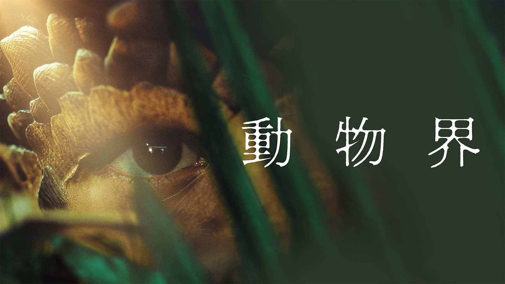 動物界 サムネイル