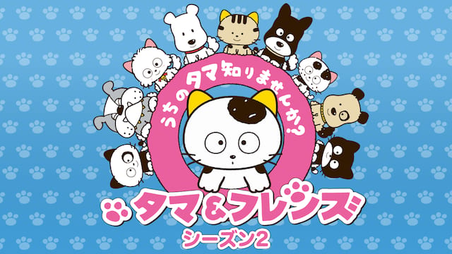 タマ＆フレンズ ～うちのタマ知りませんか？～ シーズン2 サムネイル