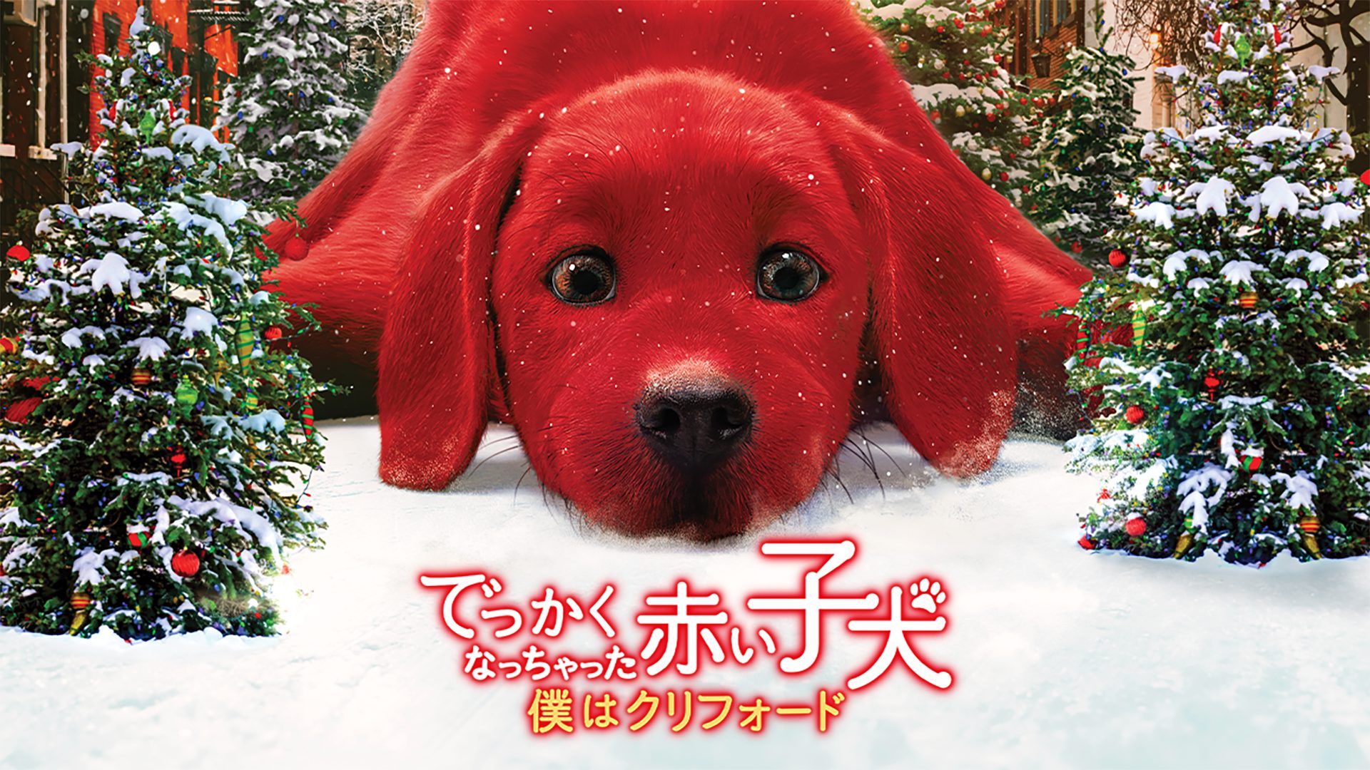 でっかくなっちゃった赤い子犬 僕はクリフォード サムネイル