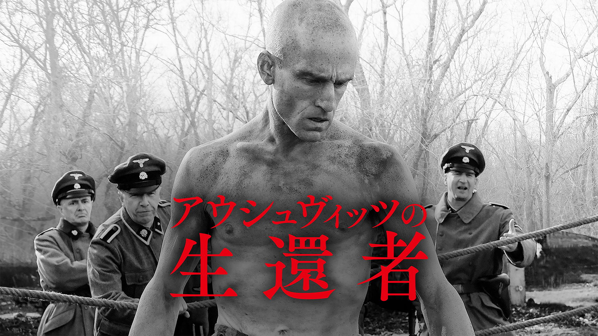 アウシュヴィッツの生還者 サムネイル