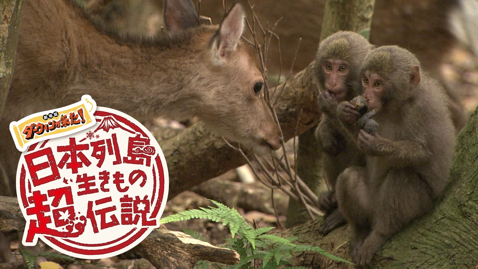 劇場版 ダーウィンが来た！ 日本列島生き物超伝説 サムネイル