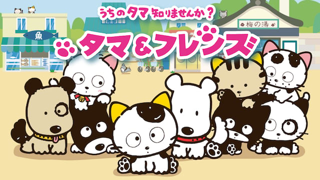 タマ＆フレンズ ～うちのタマ知りませんか？～ サムネイル